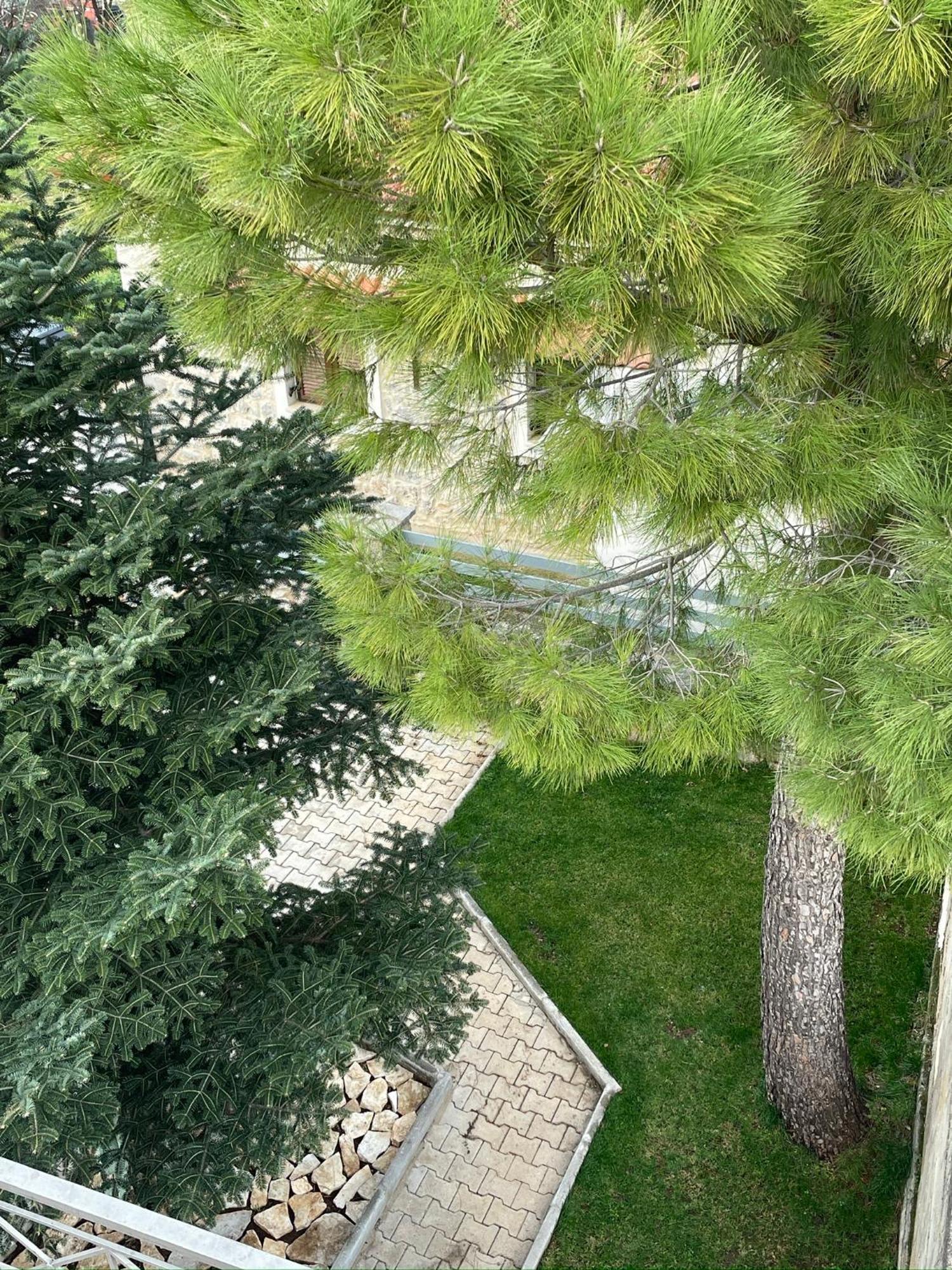 Alonaki House Apartman Amfíklia Kültér fotó